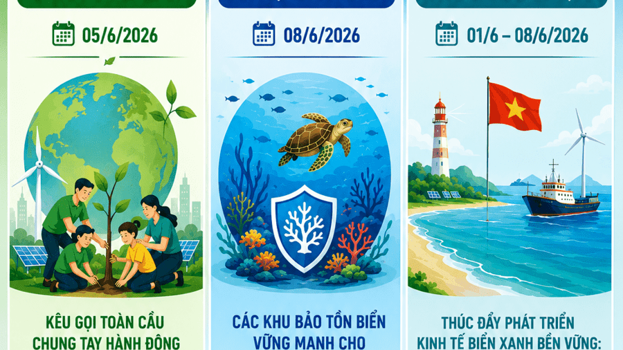HƯỞNG ỨNG NGÀY MÔI TRƯỜNG THẾ GIỚI, THÁNG HÀNH ĐỘNG VÌ MÔI TRƯỜNG, NGÀY ĐẠI DƯƠNG THẾ GIỚI, TUẦN LỄ BIỂN  VÀ HẢI ĐẢO VIỆT NAM NĂM 2026
