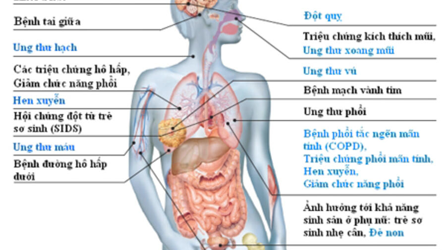Tác hại hút thuốc lá thụ động với sức khỏe